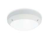 Starlight S4 Starlight S4